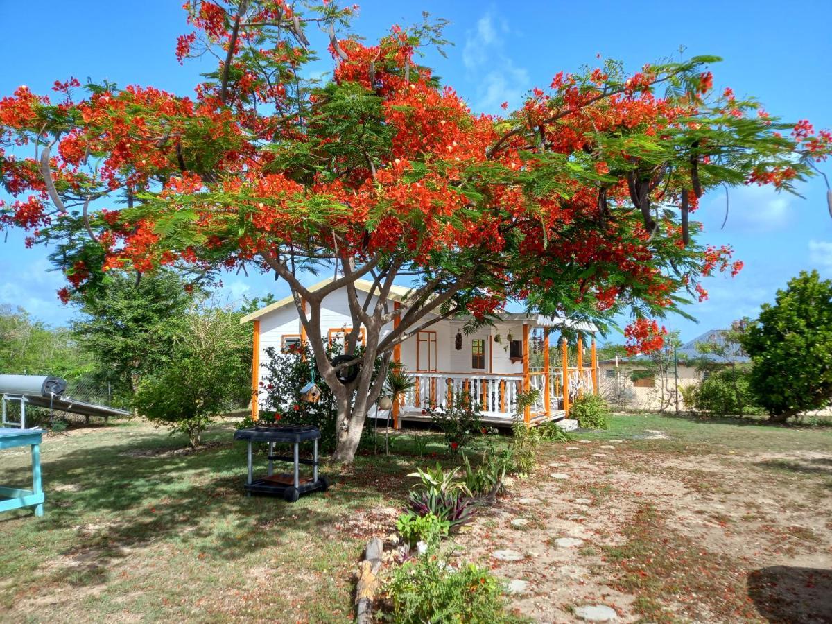 Bungalow Au Soleil Saint-Francois  Exteriör bild
